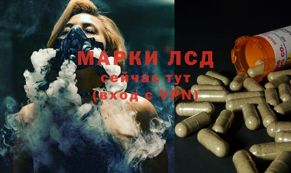 стафф Верея