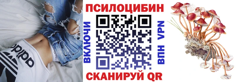 KRAKEN   Павловск  Псилоцибиновые грибы ЛСД 