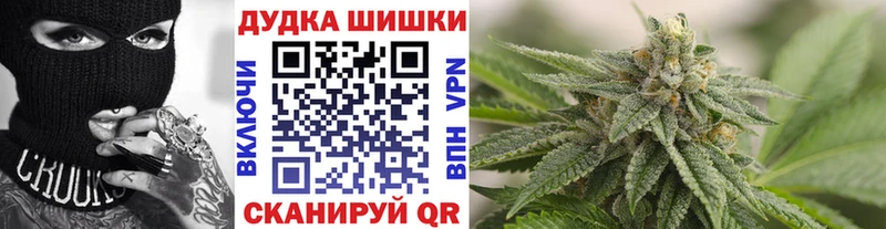 Шишки марихуана THC 21%  Павловск 